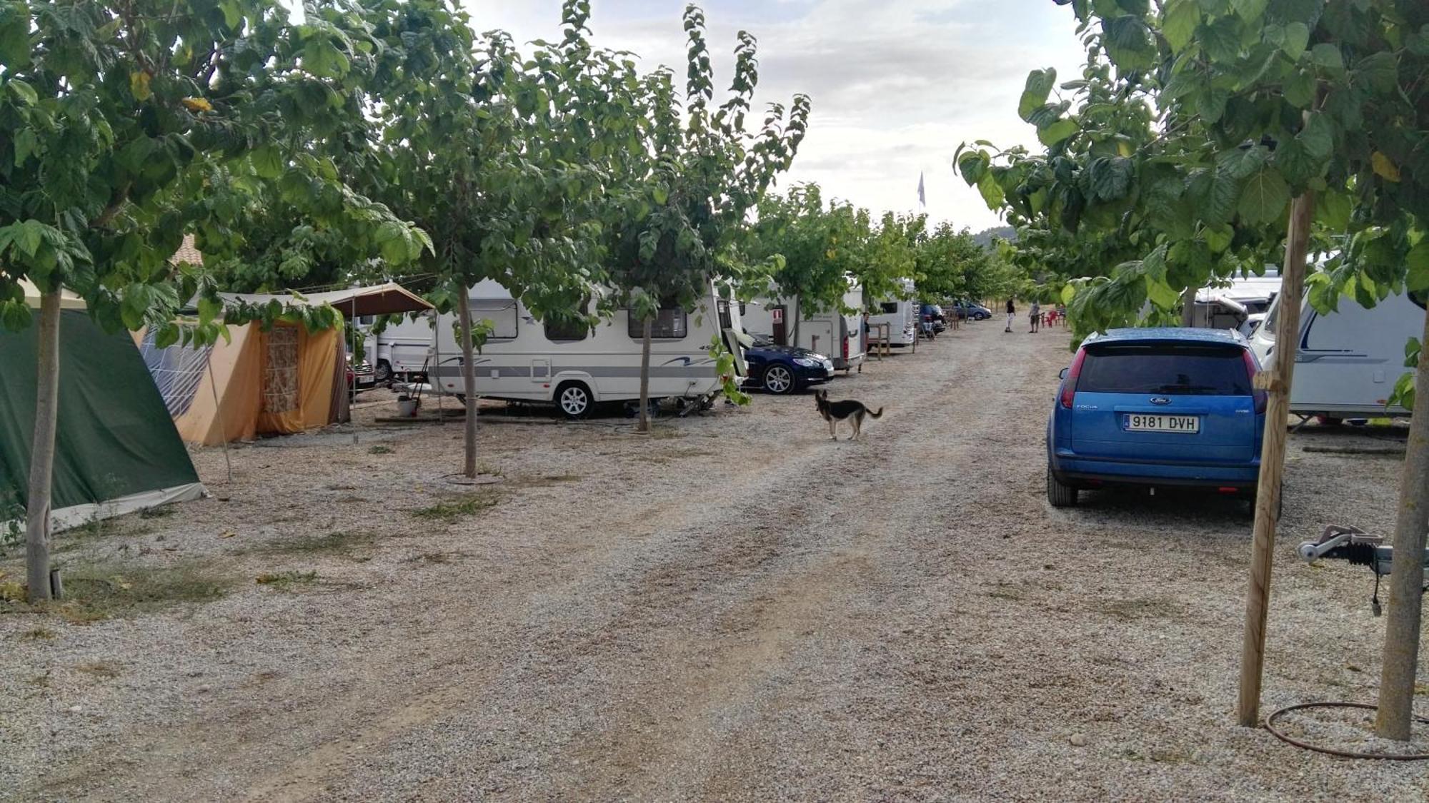 Camping El Roble Valderrobres Zimmer foto